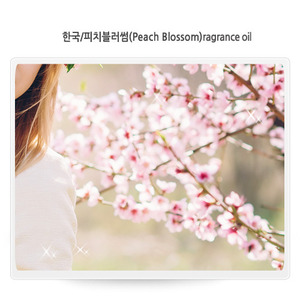 피치블러썸/Peach Blossom/브랜드타입프래그런스오일-100ml