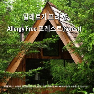 Allergy Free 포레스트(Forest)  프래그런스오일 석고방향제 디퓨저 캔들 비누 화장품 -50ml