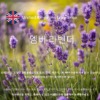 엠버 라벤더 캔들향 /브랜드타입/영국프래그런스오일-100ml
